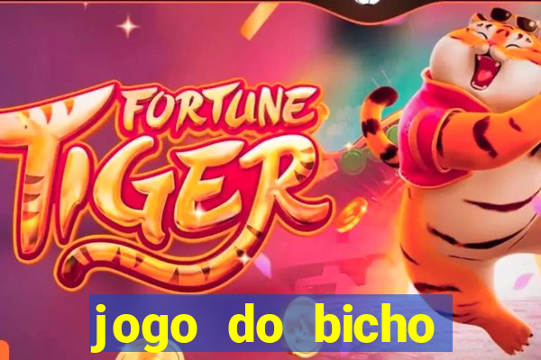 jogo do bicho crash bingo